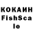 Галлюциногенные грибы ЛСД ALASH TORGAI