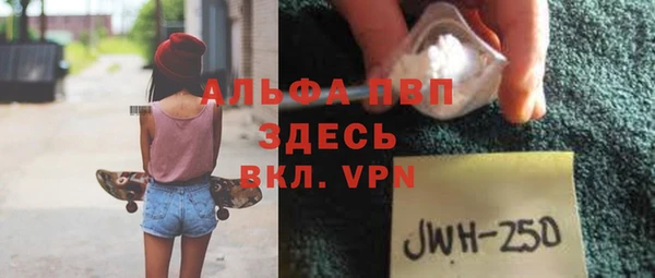 PSILOCYBIN Алзамай