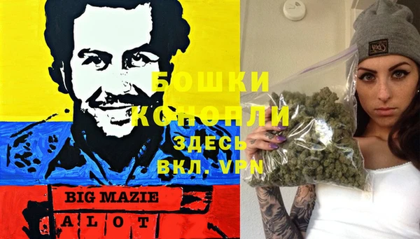 спиды Осинники